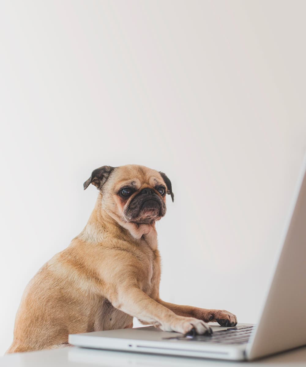 BComeNet · Accessible clé en main clé en main