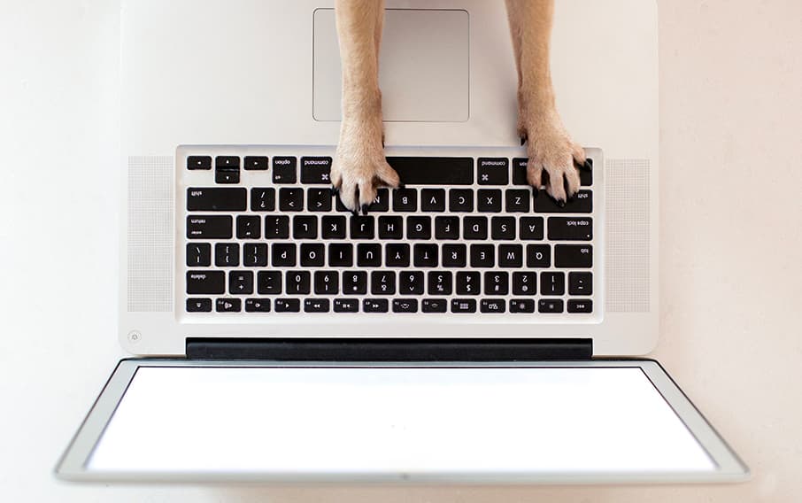 BComeNet · Design personnalisé personnalisation